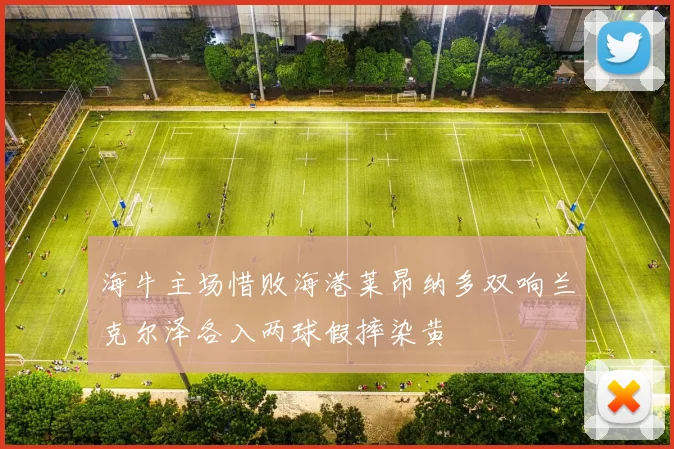 海牛主场惜败海港莱昂纳多双响兰克尔泽各入两球假摔染黄