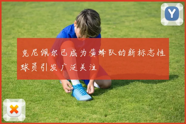 克尼佩尔已成为黄蜂队的新标志性球员引发广泛关注