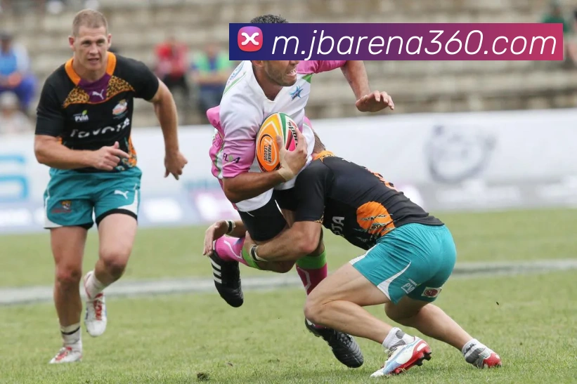 金博体育平台生态图